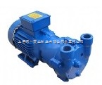 2BV2071-ON06-2P真空泵,水环式真空泵 