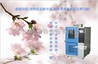 LRHS-101B-L  北京高低温试验箱****多少 
