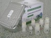 大鼠糖化血红蛋白A1c（GHbA1c）ELISA试剂盒 