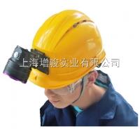LUYOR-3101H  路阳LUYOR-3101H头盔式LED紫外线灯报价 