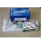 人维生素K1（VK1）ELISA试剂盒 