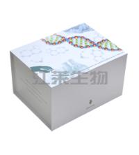 小鼠白介素11（IL-11）ELISA试剂盒 