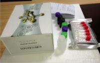 人Elisa试剂盒说明书,北京碱性成纤维细胞生长因子4(bFGF,4)elisa试剂盒价格 