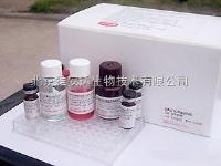 原装促销人干细胞因子/肥大细胞生长因子（SCF/MGF）ELISA Kit ，现货ELISA试剂盒 