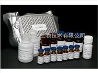 进口促销人鸟氨酸脱羧酶（ODC）ELISA Kit，北京现货ELISA试剂盒 