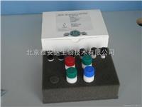 北京特价人胃蛋白酶（PP）ELISA Kit ，现货供应ELISA试剂盒 