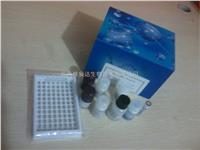 **销售人热休克蛋白40（HSP-40）ELISA Kit，*新报价ELISA试剂盒 