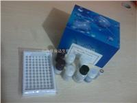 *新价格人肌球蛋白（MYS）ELISA Kit，北京现货ELISA试剂盒 