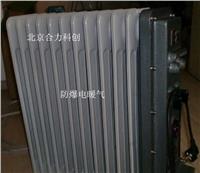 防爆油汀电暖气   型号：BDR-1500W《11片》 