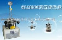 slm  天津销售实验室高压反应釜 