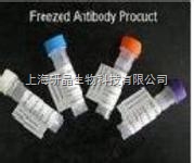 Anti-HSP-105/FITC荧光,标记热休克蛋白HSP105抗体 