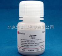 L8070  Lipase 脂肪酶 5g 9001-62-1 