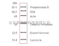 PR1400  低分子量蛋白质Marker（14.4kD-97.4kD） slarbio 20T现货 