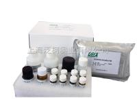 人游离脂肪酸（FFA）ELISA试剂盒 