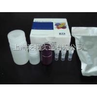 大鼠白介素12（IL-12/P70）ELISA试剂盒 