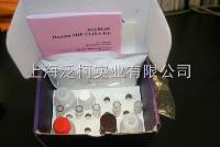 大鼠白介素11（IL-11）ELISA试剂盒 