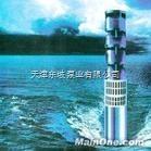 QJ  天津海水潜水泵，海水提升设备 