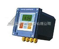 BKQ-PHG-217D型  工业pH/ORP测量控制器 
