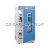 HXY73-DPX-150  电热恒温培养箱 