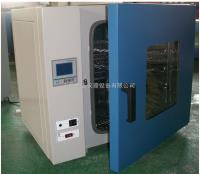 DHG系列  300度电热恒温鼓风干燥箱新品上市/实验烘箱/***干燥箱 