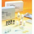 糖类抗原19-9(CA19-9)ELISA检测试剂盒说明书