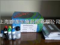 20141111090106941.jpg