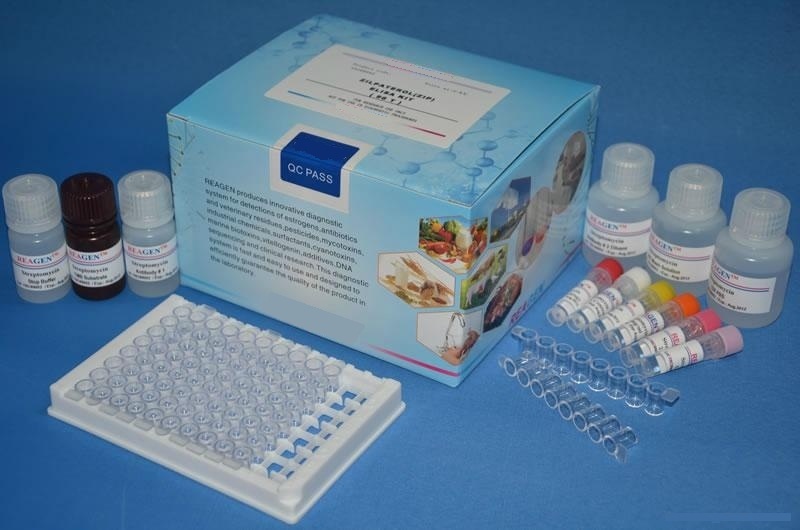 代测人抑瘤素m(osm)elisa试剂盒