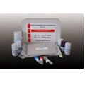 大鼠精氨酸酶(Arg)ELISA试剂盒 