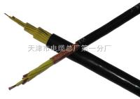 YCW橡胶电缆 
