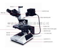 ISM-M600-Y金相显微镜 