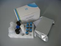 猴子乙酰胆碱受体抗体（AChRab）ELISA试剂盒 