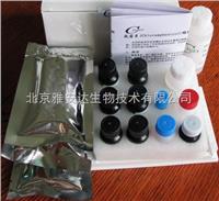 原装促销人毒蕈碱型乙酰胆碱受体（M-AChR）ELISA Kit ，*新报价ELISA试剂盒 