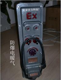 防爆油汀电暖气  型号:BDR-3000（3KW） 《13片》 