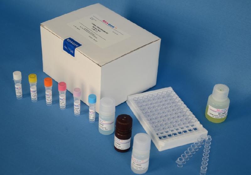 现货供应 人生长相关蛋白43(gap-43)elisa kit 促销,报价